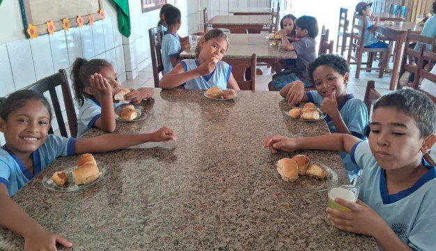 comida invisivel nutrivida 2